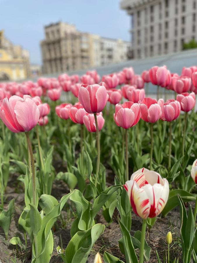 קייב Однокімнатні Апартаменти На Майдані, Дистанційне Заселення 24Х7 מראה חיצוני תמונה